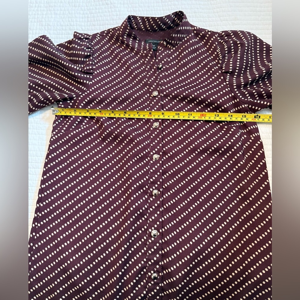 Ann Taylor Button Up Polka Dot Dress - Picture 12 of 13